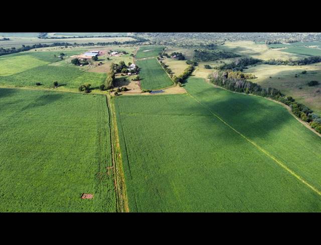 17HA FARM FOR SALE IN MIDDELBURG RURAL